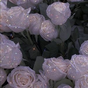 Meet your Posher, Zoe